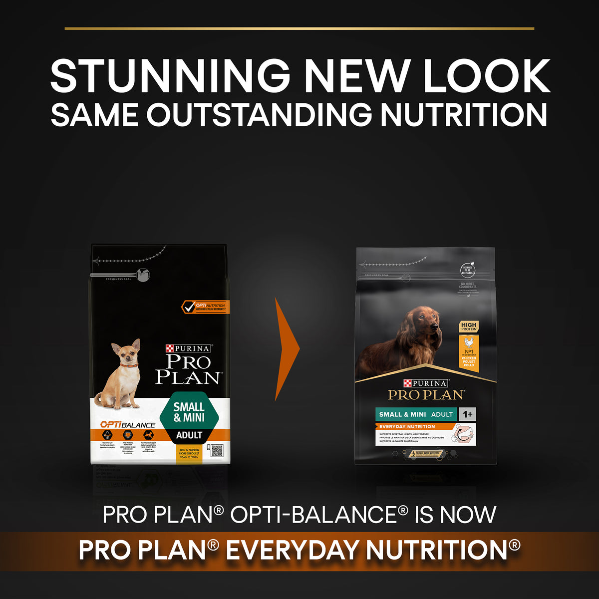 Purina Pro Plan Everyday Nutrition Small and Mini Adult, Dry Dog food with Chicken, 7 kg
