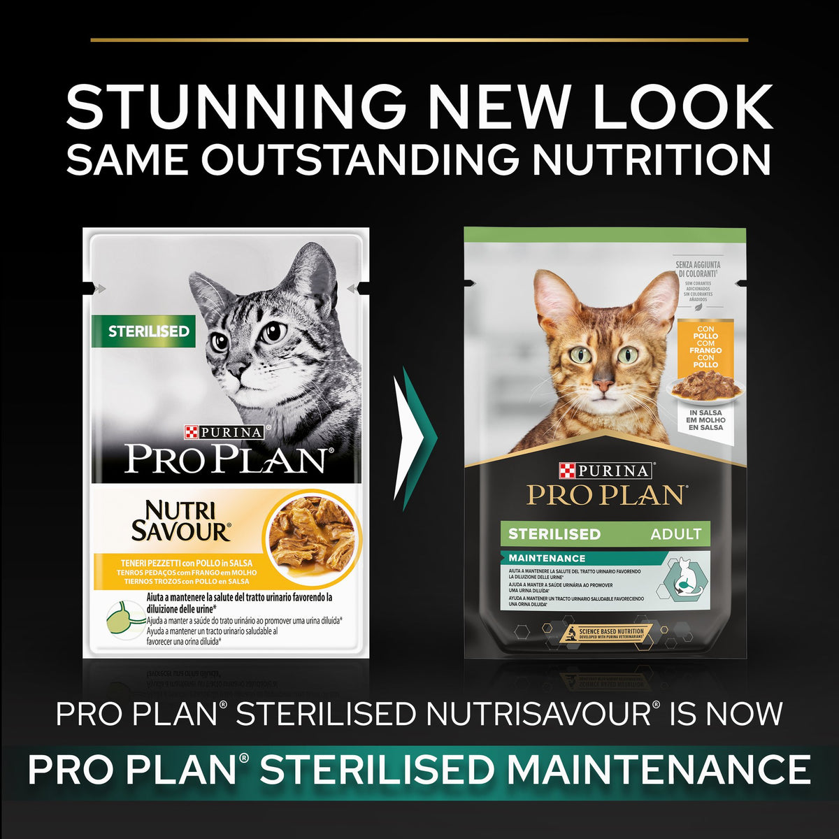 Purina Pro Plan Sterilised Adult Wet Cat Food, Chicken in Gravy, Multipack, 10 x 85g