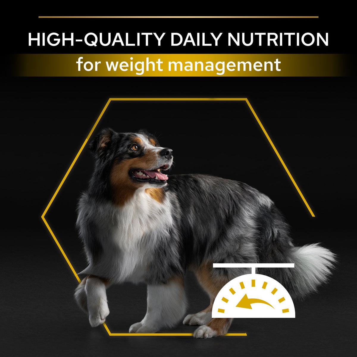 Purina Pro Plan Light Sterilised All Sizes Adult, Dry Dog food with Chicken, 14 kg