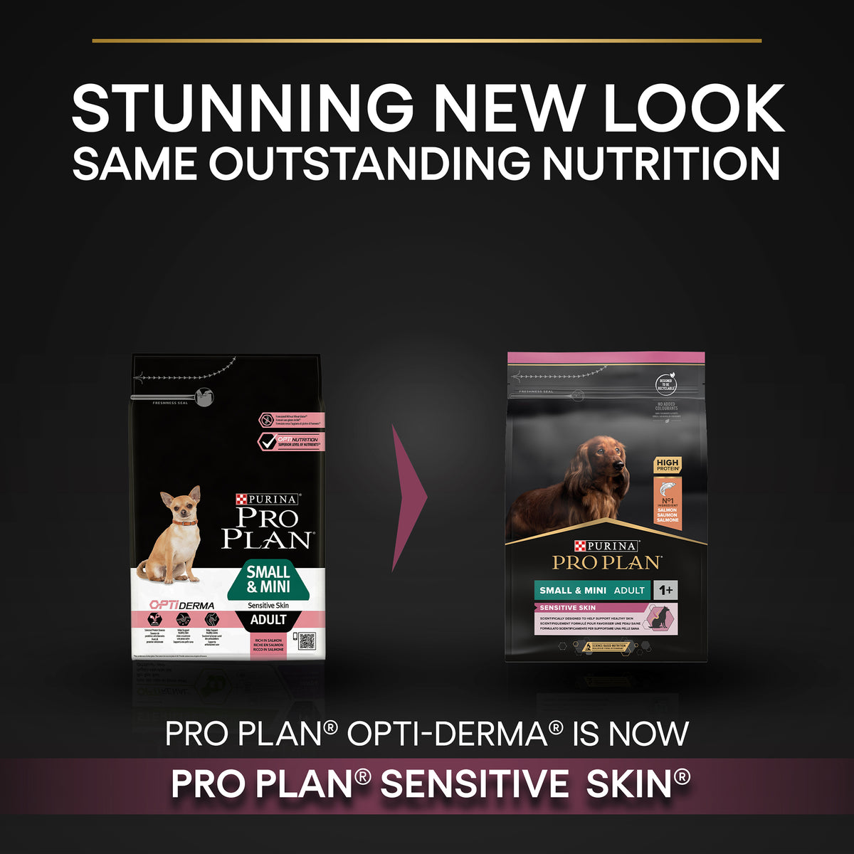 Purina Pro Plan Sensitive Skin Small and Mini Adult, Dry Dog food with Salmon, 3 kg