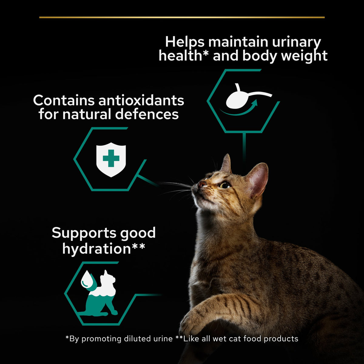 Purina Pro Plan Sterilised Wet Cat Food, Beef in Gravy 85g