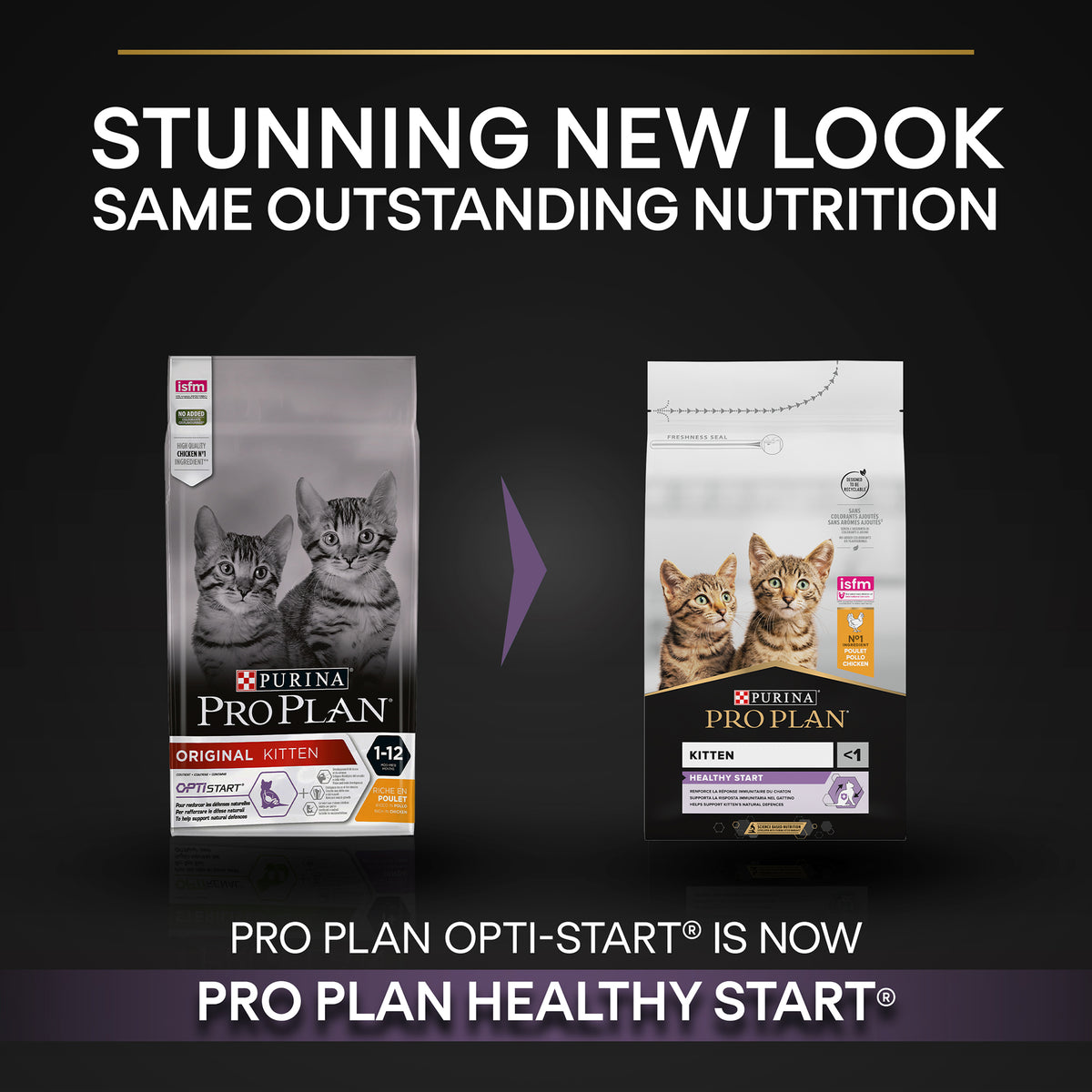 Purina Pro Plan Kitten Healthy Start Dry Cat Food with Chicken, 3 kg