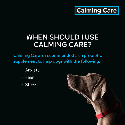 Purina Pro Plan Veterinary Supplements Calming Care - Calming Dog Supplements, 30 sachets x 1 g