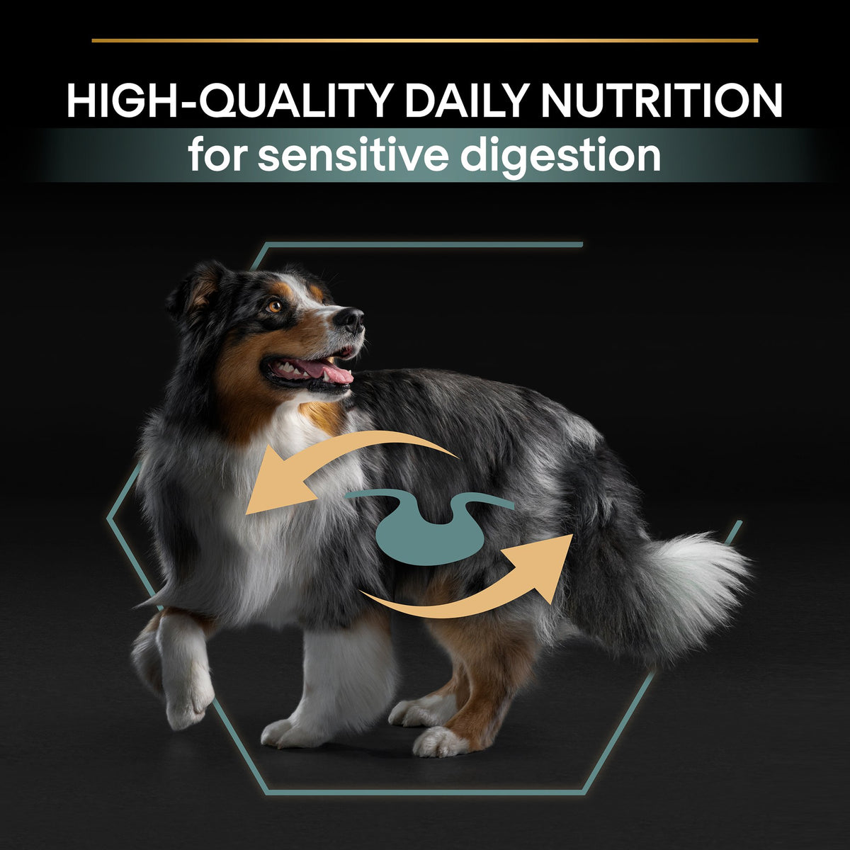 Purina Pro Plan Sensitive Digestion Medium Adult, Dry Dog food with Lamb, 14 kg