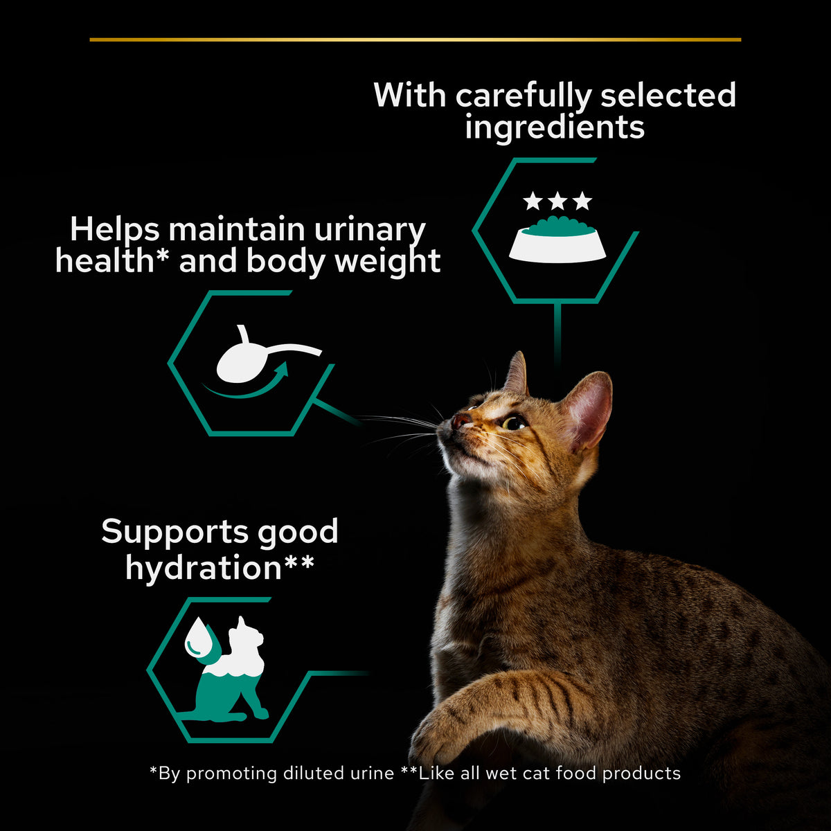 Purina Pro Plan Adult Sterilised Maintenance, Wet Cat Food, Terrine with Salmon and Tuna 85g