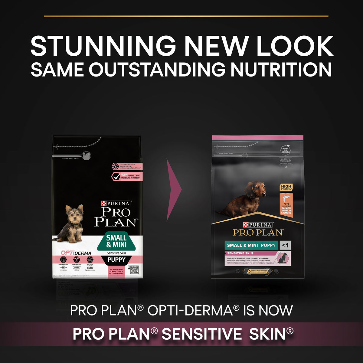 Purina Pro Plan Small and Mini Puppy Sensitive Skin, Dry Dog food with Salmon, 3 kg
