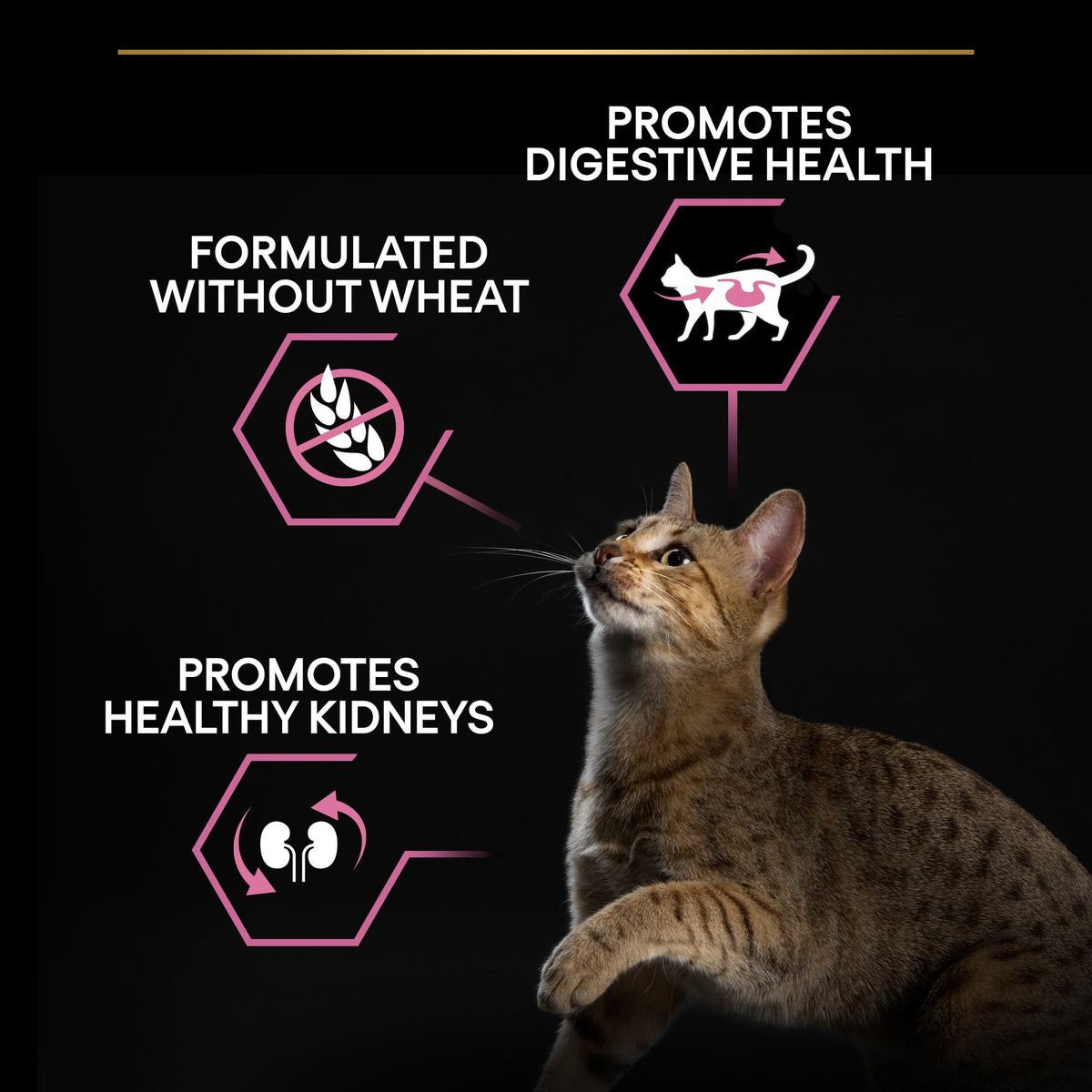 Purina Pro Plan Adult Delicate Digestion, Dry Cat Food with Turkey, 400 g