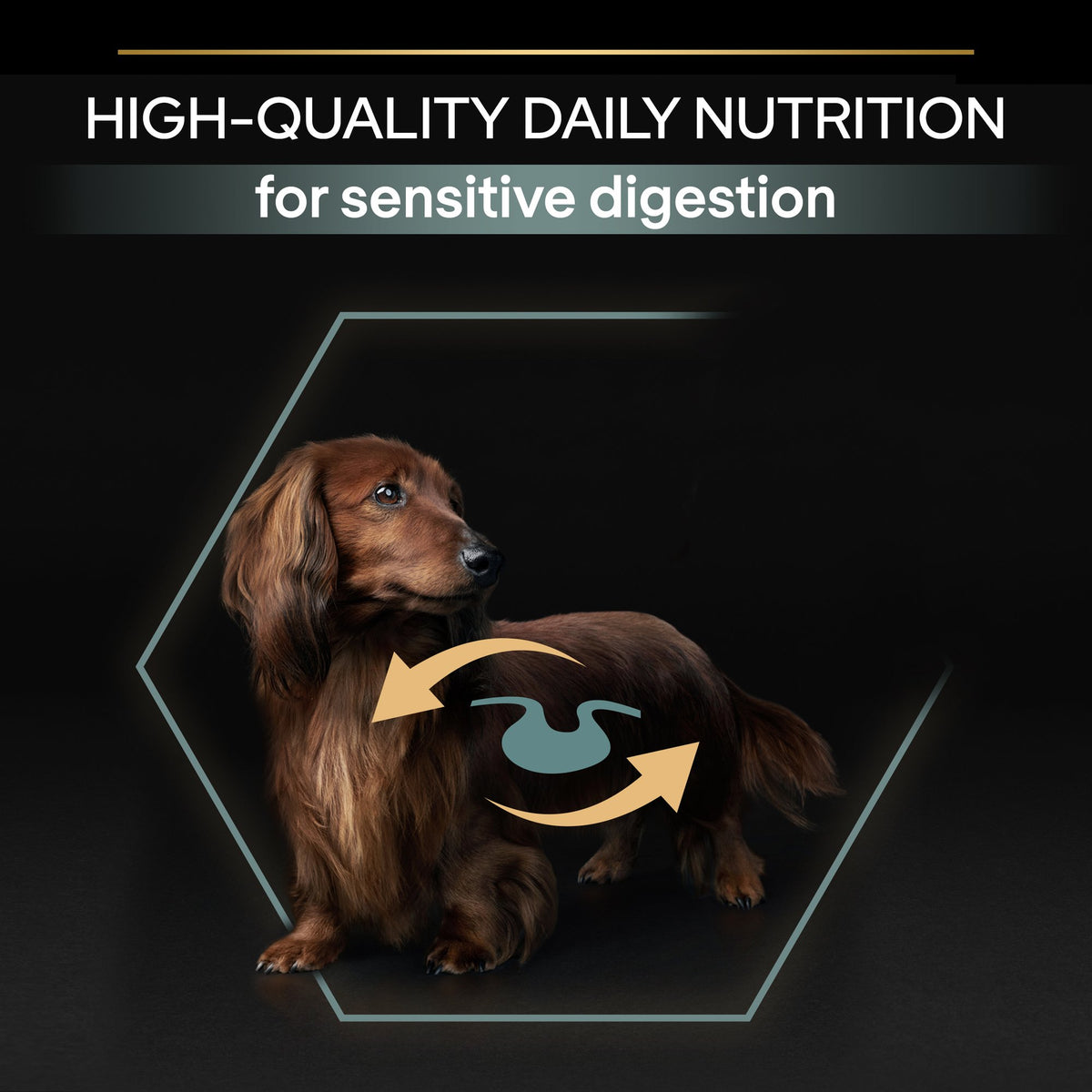Purina Pro Plan Sensitive Digestion Small and Mini Adult, Dry Dog food with Lamb, 3 kg