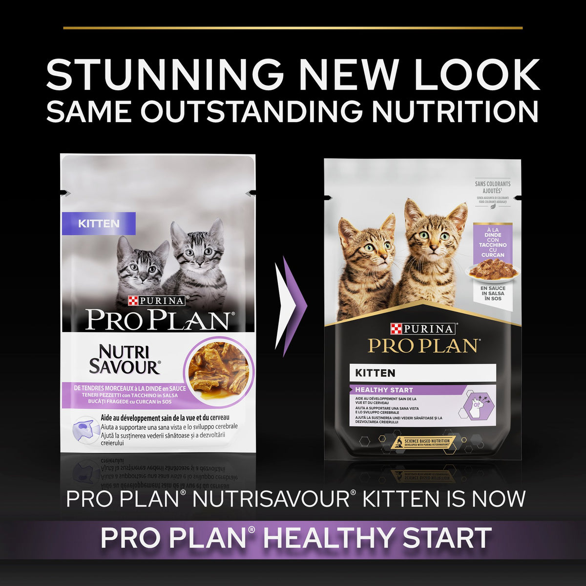 Purina Pro Plan Kitten, Wet Cat Food, Turkey in Gravy, Multipack, 10 x 85g