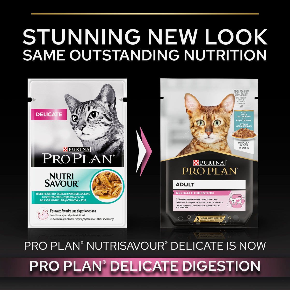 Purina Pro Plan Delicate Wet Cat Food, Oceanfish in Gravy 85g