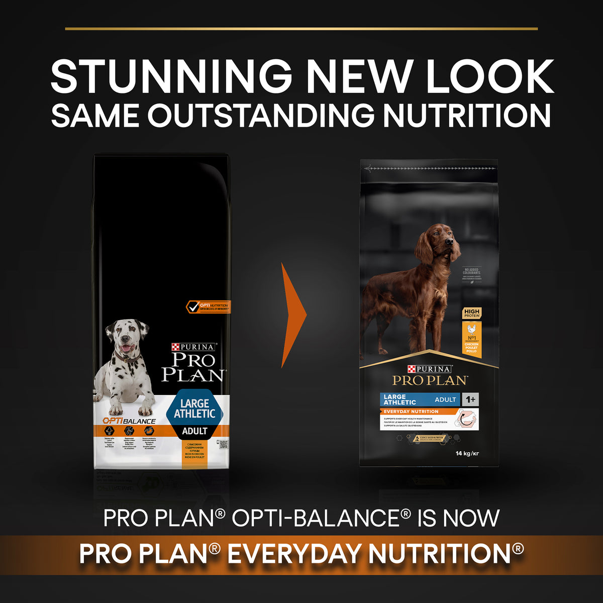 Purina Pro Plan Everyday Nutrition Large Athletic Adult, Dry Dog food with Chicken, 14 kg
