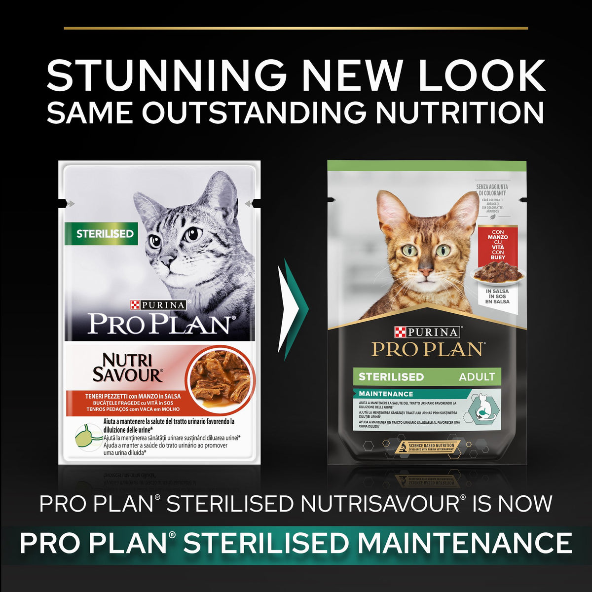 Purina Pro Plan Sterilised Wet Cat Food, Beef in Gravy 85g