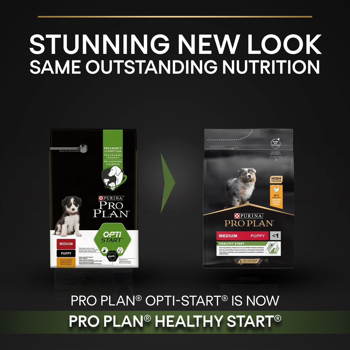 Purina Pro Plan Healthy Start Medium Puppy, Dry Dog food with Chicken, 3 kg