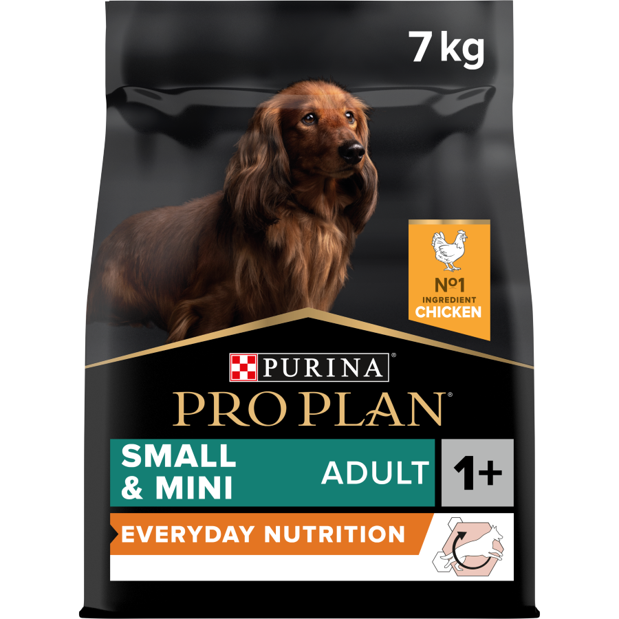 Purina Pro Plan Everyday Nutrition Small and Mini Adult, Dry Dog food with Chicken, 7 kg