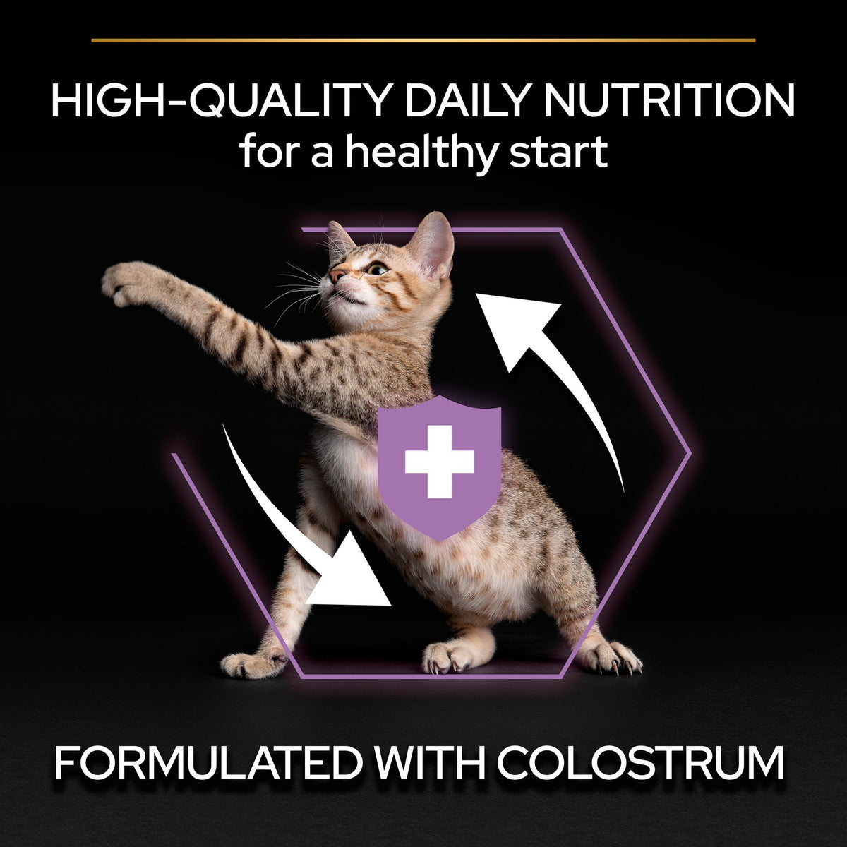 Purina Pro Plan Kitten Healthy Start Dry Cat Food with Chicken, 400 g