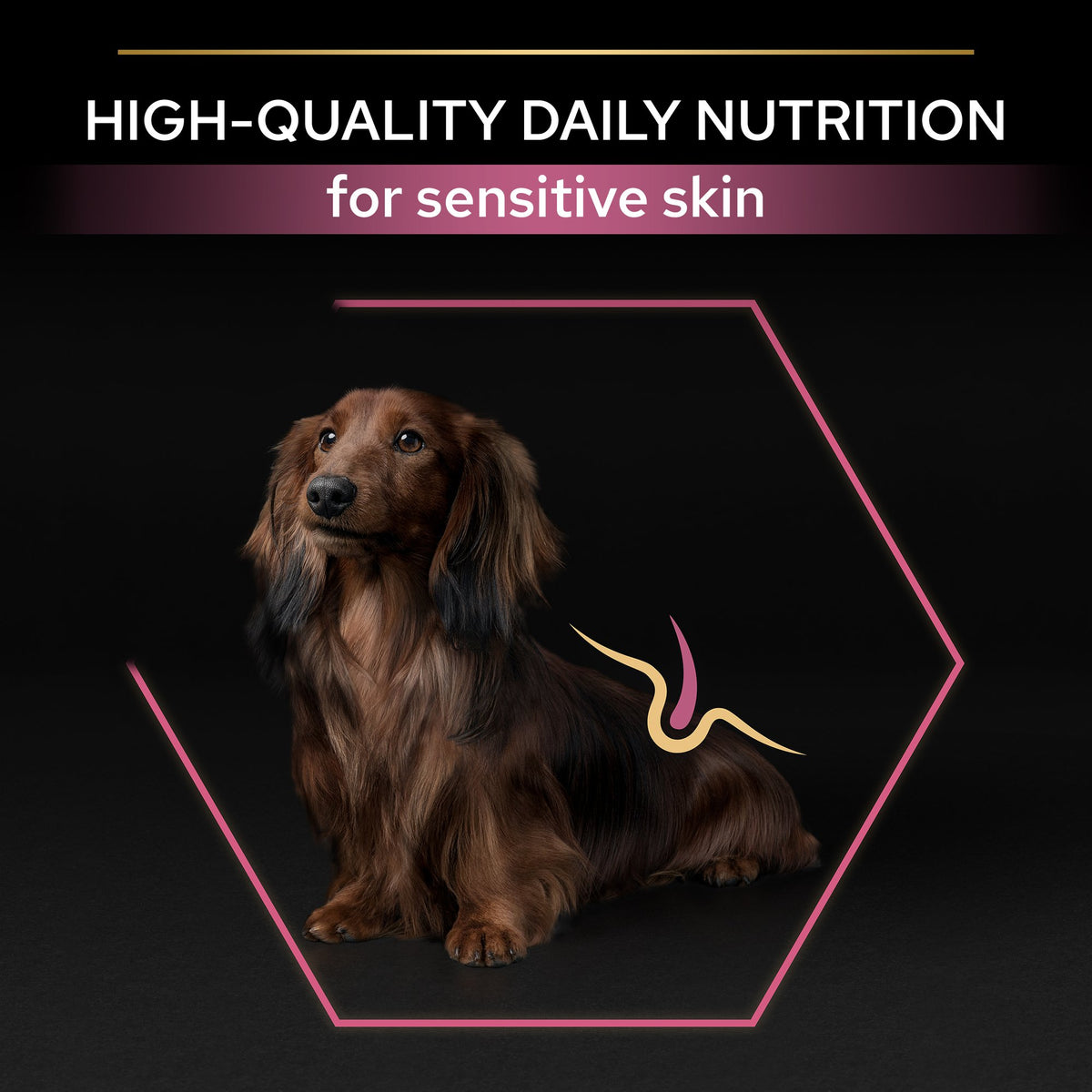 Purina Pro Plan Sensitive Skin Small and Mini Adult, Dry Dog food with Salmon, 3 kg