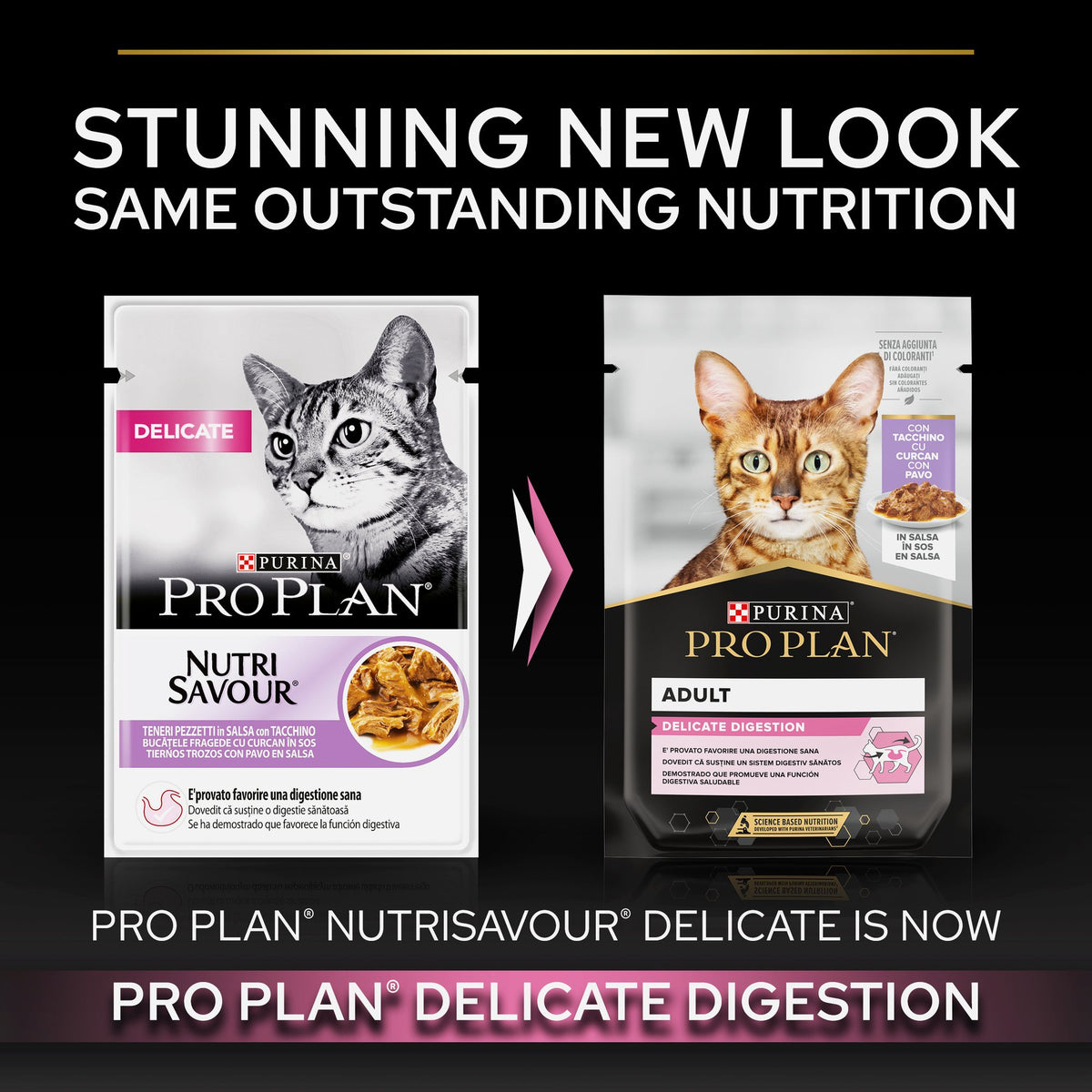 Purina Pro Plan Delicate Digestion Wet Cat Food, Turkey in Gravy 85g