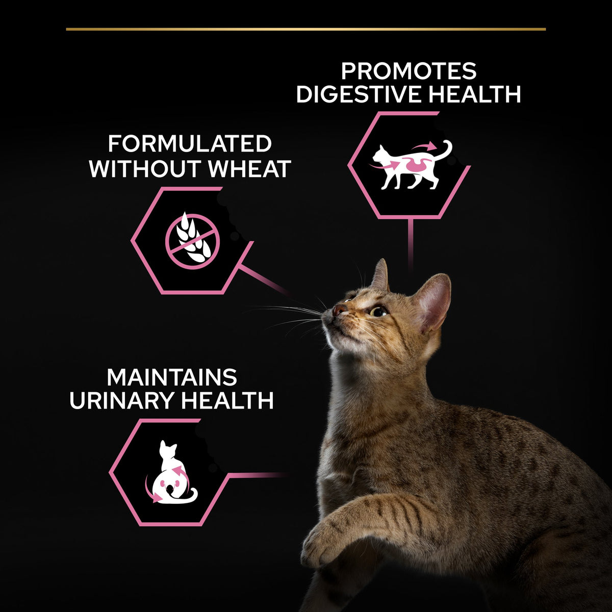 Purina Pro Plan Sterilised Adult Delicate Digestion Dry Cat Food with Chicken, 3 kg