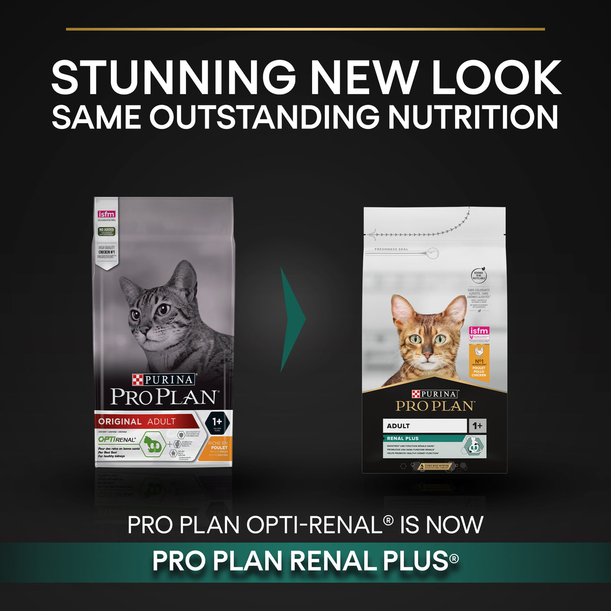 Purina Pro Plan Adult Renal Plus Everyday Dry Cat Food with Chicken, 3 kg