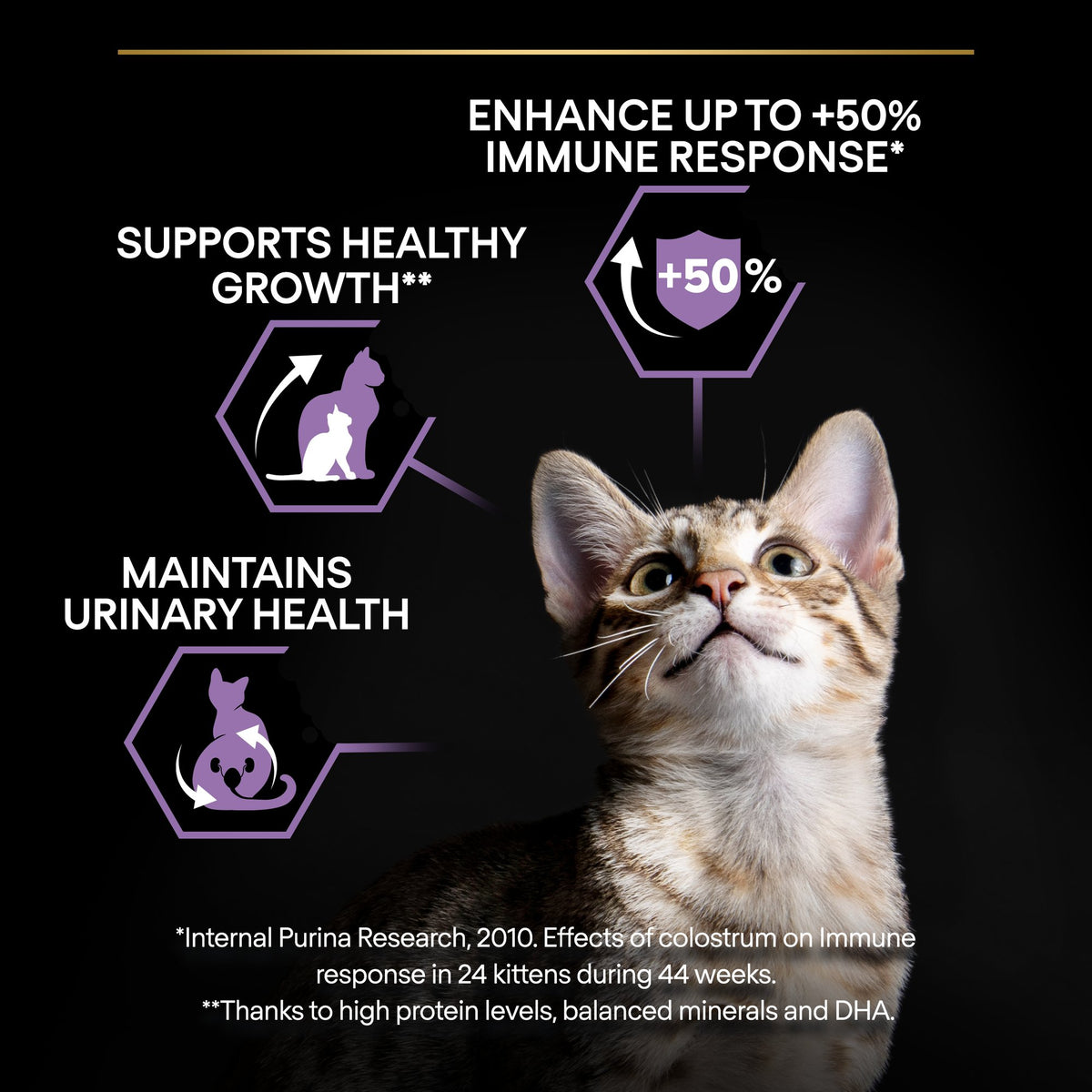 Purina Pro Plan Kitten Healthy Start Dry Cat Food with Chicken, 3 kg
