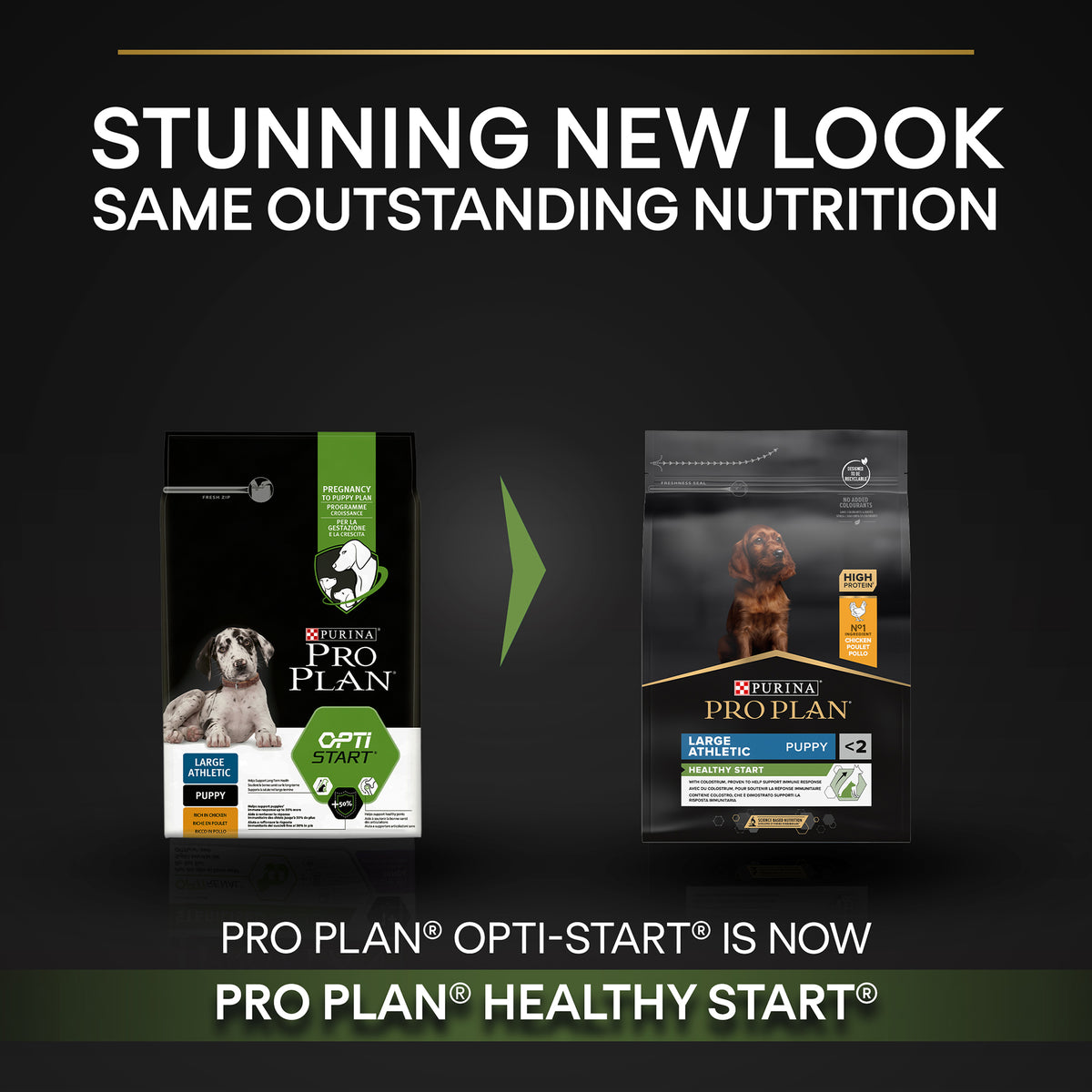 Purina Pro Plan Healthy Start Large Athletic Puppy, Dry Dog food with Chicken, 12 kg