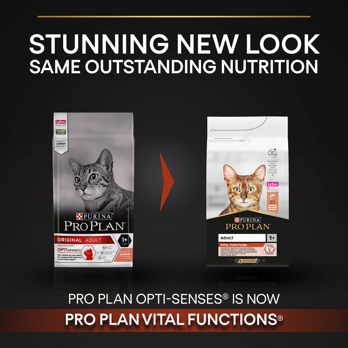Purina Pro Plan Adult Vital Functions Everyday Dry Cat Food with Salmon, 1.5 kg