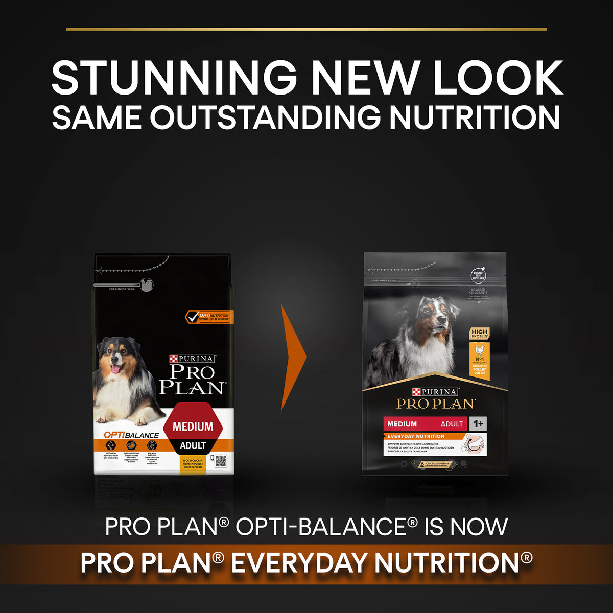 Purina Pro Plan Everyday Nutrition Medium Adult, Dry Dog food with Chicken, 3 kg