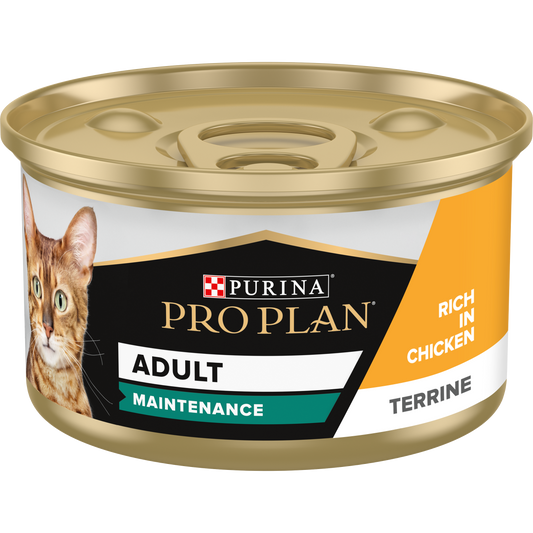 Purina Pro Plan Adult Maintenance, Wet Cat Food, Terrine rich in Chicken 85g