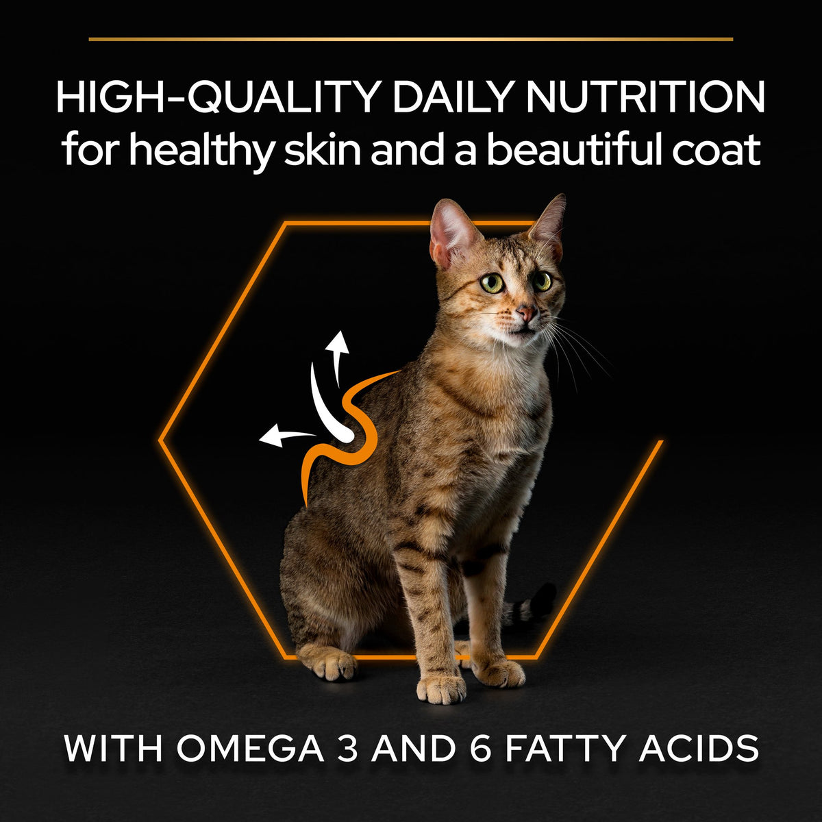 Purina Pro Plan Adult Derma Care, Dry Cat Food with Salmon, 1.5 kg