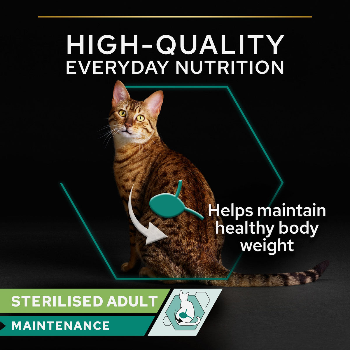 Purina Pro Plan Sterlised Maintenance Wet Cat Food, Chicken and Beef, mix-flavor pack, 10 x 85g