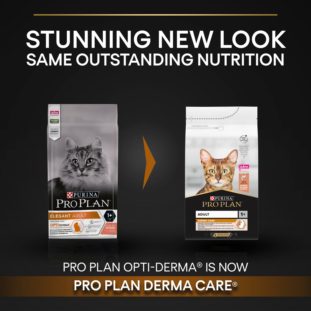 Purina Pro Plan Adult Derma Care, Dry Cat Food with Salmon, 3 kg