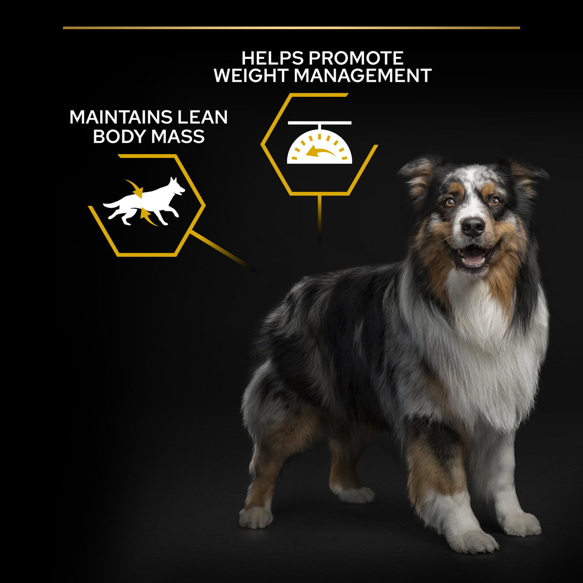 Purina Pro Plan Light Sterilised All Sizes Adult, Dry Dog food with Chicken, 14 kg
