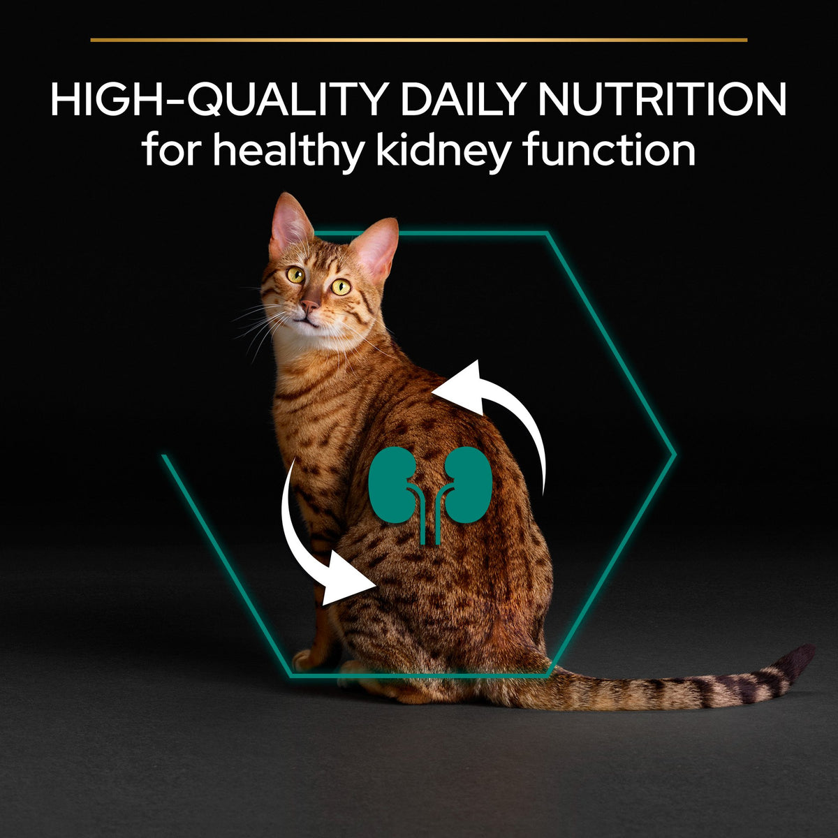 Purina Pro Plan Adult Renal Plus Everyday Dry Cat Food with Chicken, 3 kg