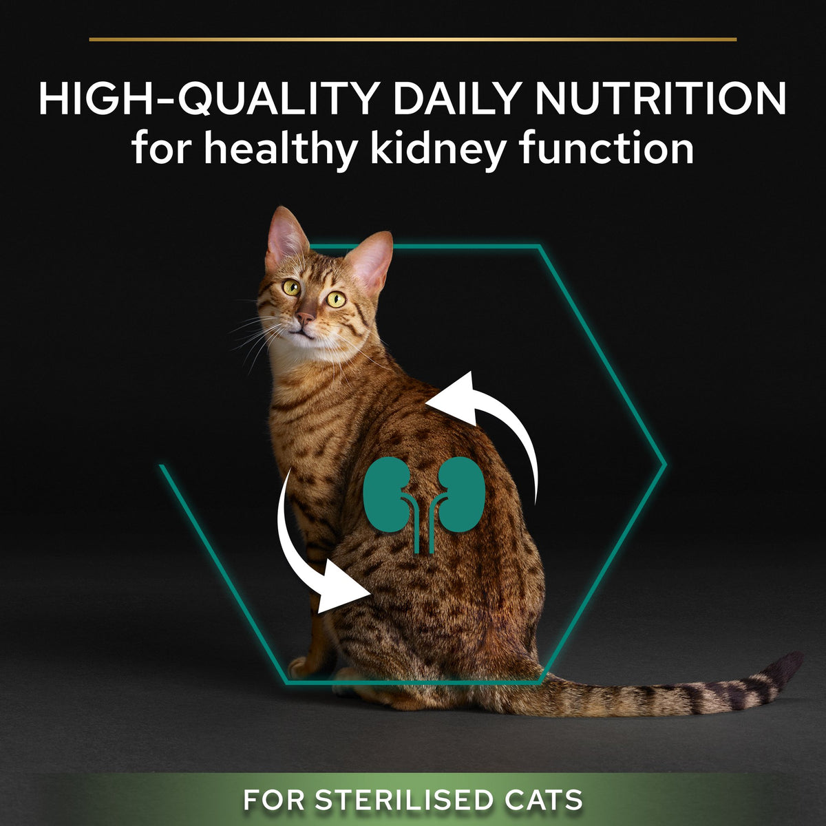 Purina Pro Plan Sterilised Adult Renal Plus Dry Cat Food with Turkey, 1.5 kg