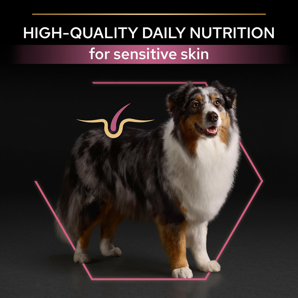 Purina Pro Plan Sensitive Skin Medium and Large Senior 7+, Dry Dog food with Salmon, 3 kg