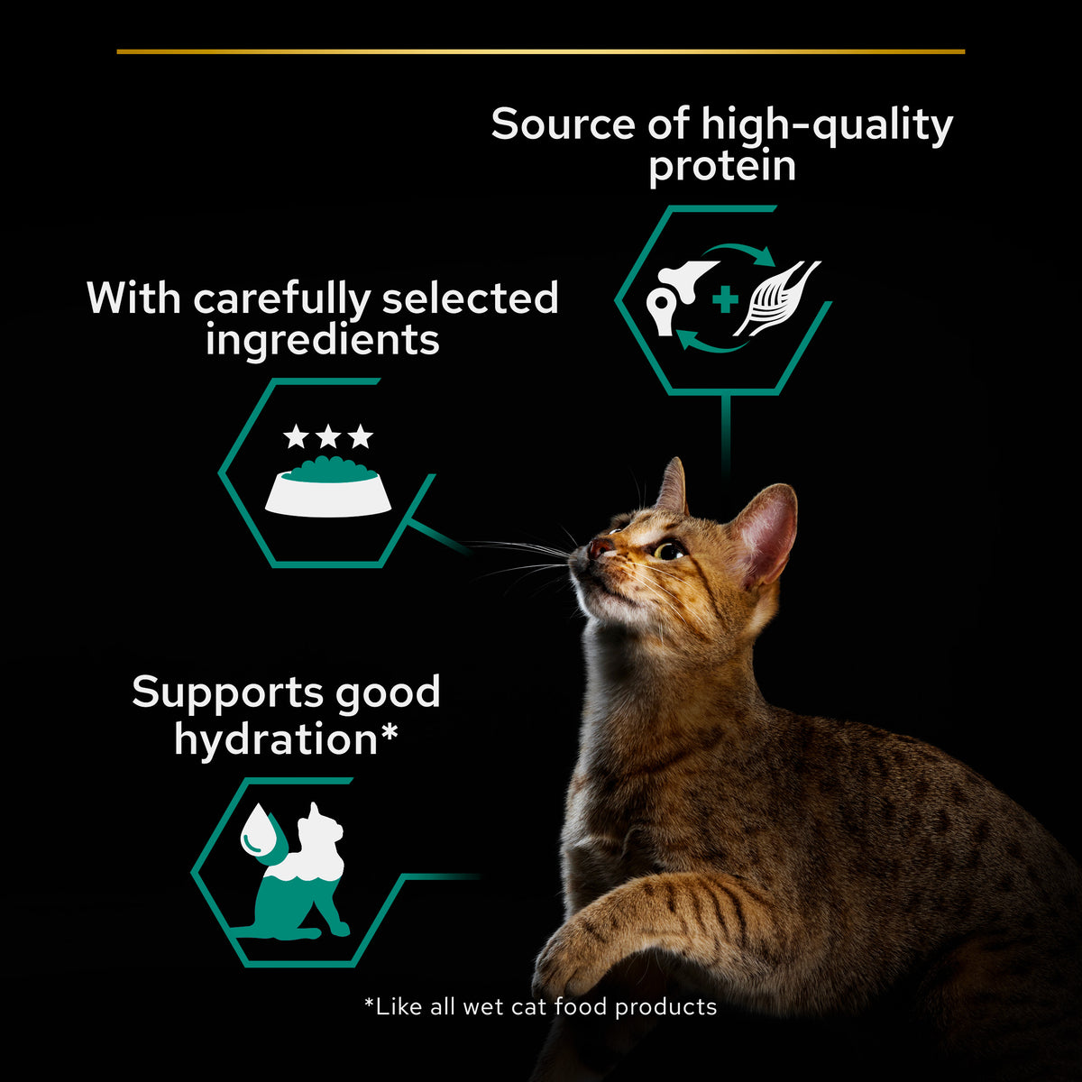 Purina Pro Plan Adult Maintenance, Wet Cat Food, Terrine rich in Chicken 85g