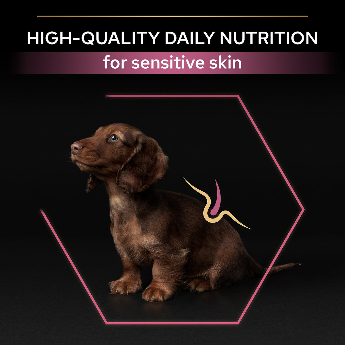 Purina Pro Plan Small and Mini Puppy Sensitive Skin, Dry Dog food with Salmon, 3 kg