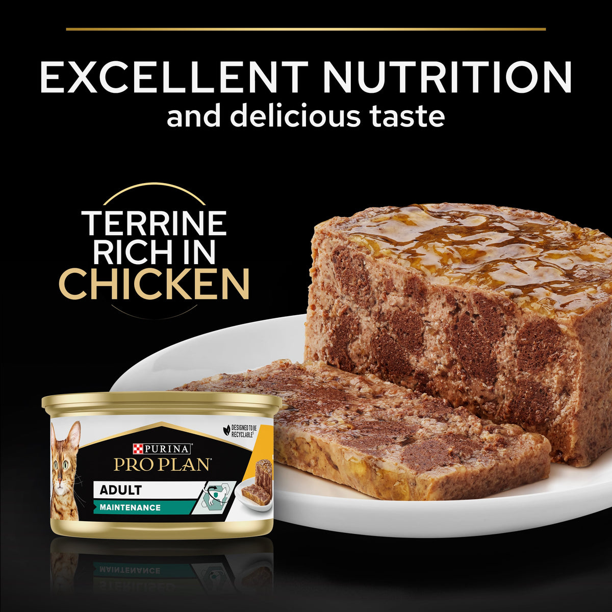 Purina Pro Plan Adult Maintenance, Wet Cat Food, Terrine rich in Chicken 85g