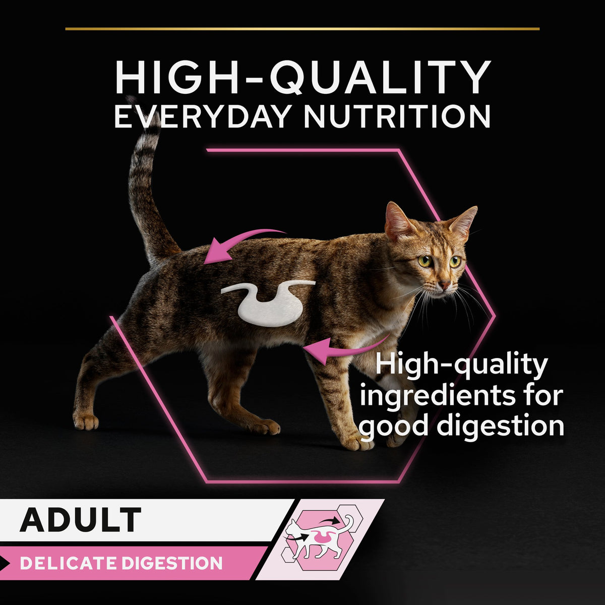 Purina Pro Plan Delicate Digestion Wet Cat Food, Turkey in Gravy, 10 x 85g