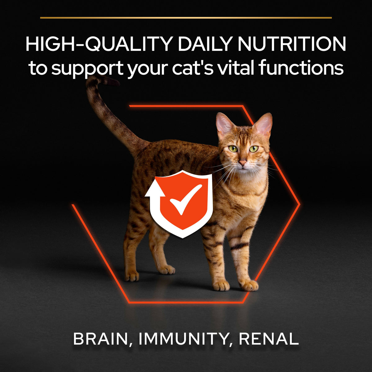 Purina Pro Plan Adult Vital Functions Everyday Dry Cat Food with Salmon, 1.5 kg
