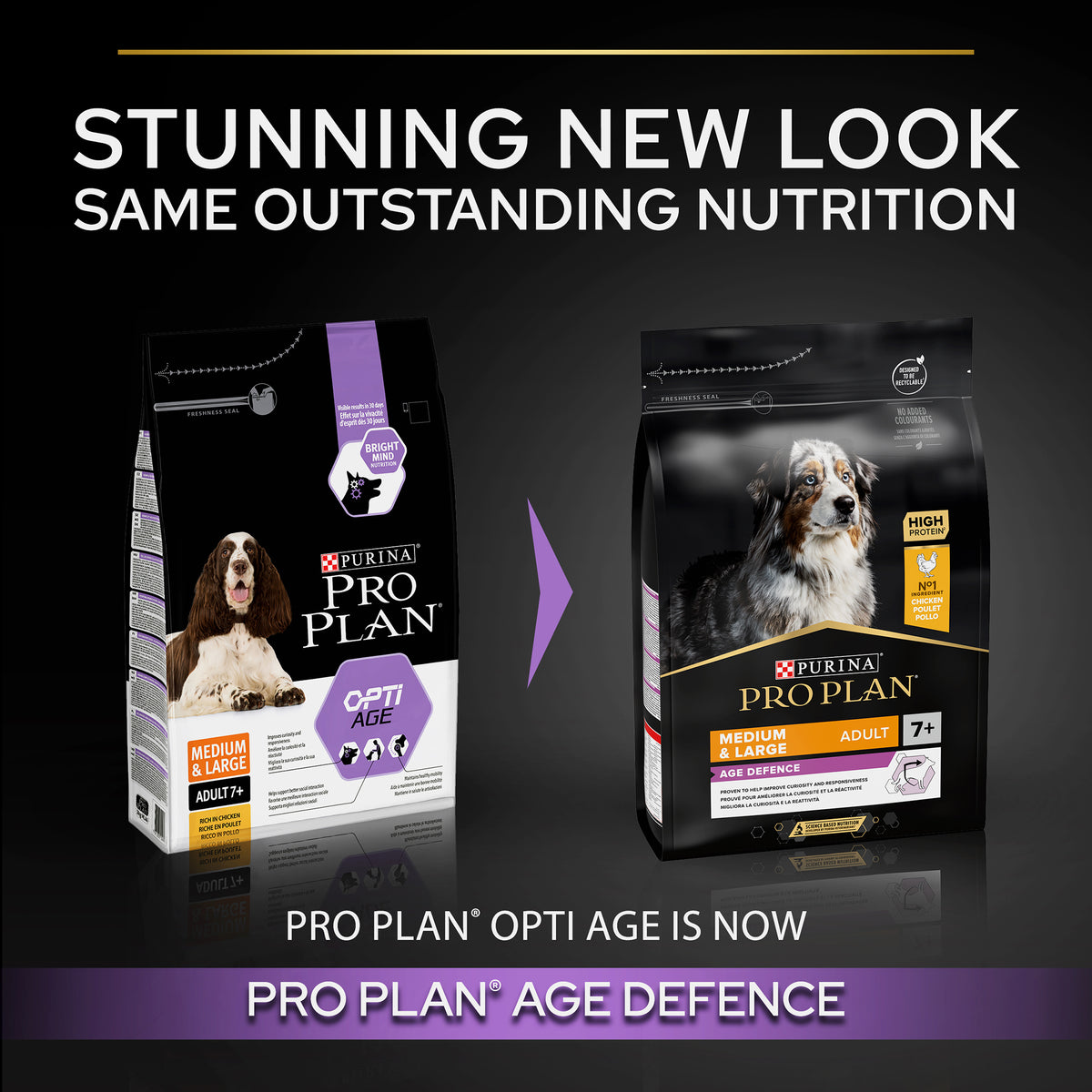 Purina Pro Plan Age Defence Medium and Large Senior 7+, Dry Dog food with Chicken, 14 kg