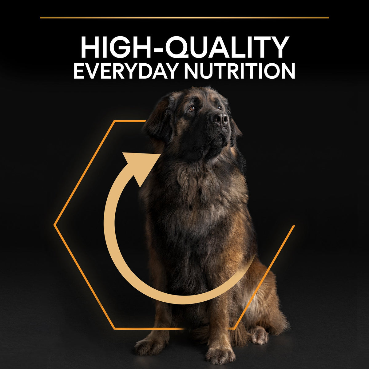 Purina Pro Plan Everyday Nutrition Large Robust Adult, Dry Dog food with Chicken, 14 kg