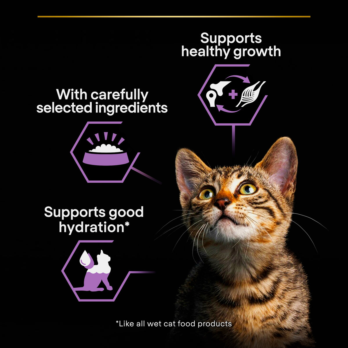 Purina Pro Plan Kitten Healthy Start, Wet Cat Food, Mousse rich in Chicken 85g