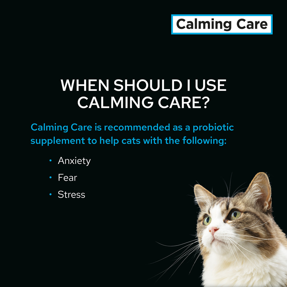Purina Pro Plan Veterinary Supplements Calming Care Cat Supplements, 30 sachets x 1 g