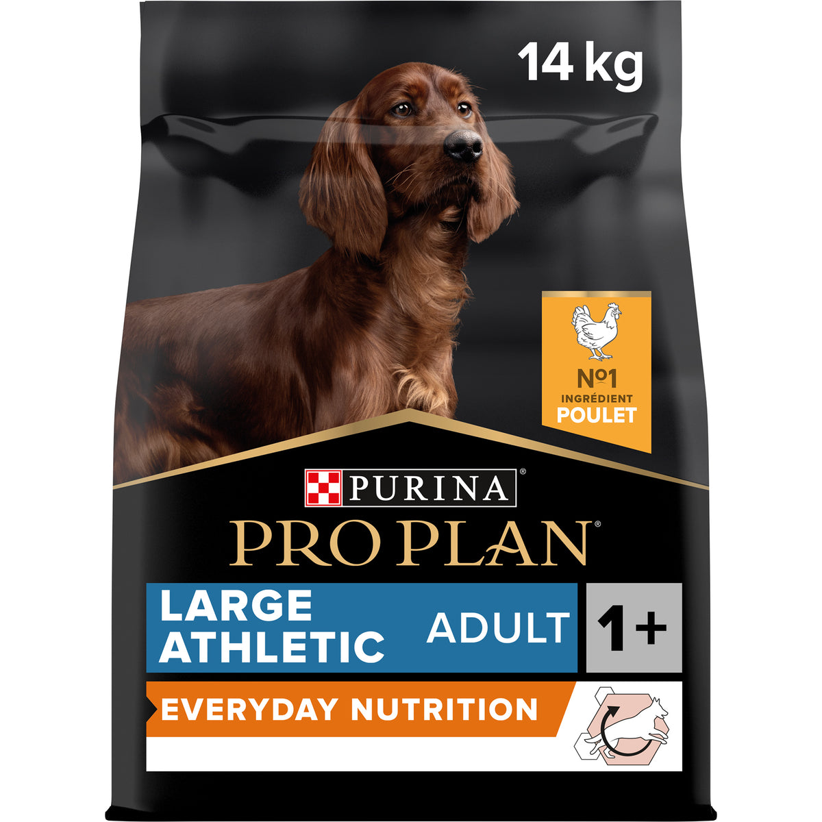 Purina Pro Plan Everyday Nutrition Large Athletic Adult, Dry Dog food with Chicken, 14 kg