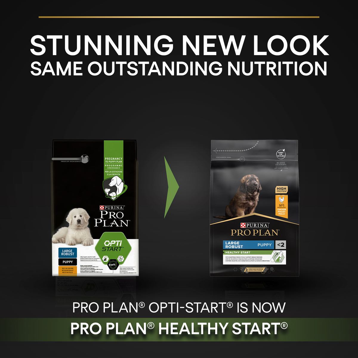 Purina Pro Plan Healthy Start Large Robust Puppy, Dry Dog food with Chicken, 3 kg