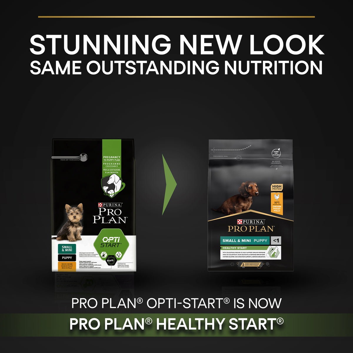 Purina Pro Plan Healthy Start Small and Mini Puppy, Dry Dog food with Chicken, 3 kg