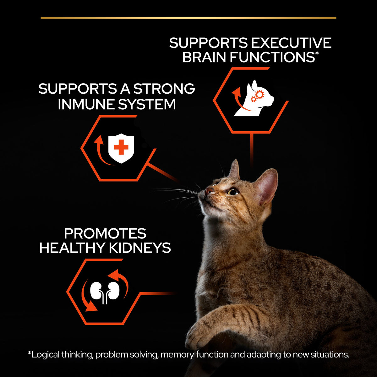 Purina Pro Plan Adult Vital Functions Everyday Dry Cat Food with Salmon, 1.5 kg