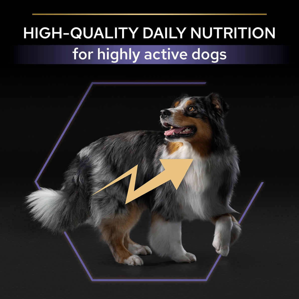 Purina Pro Plan Performance Adult All Size Dry Dog food with Chicken, 18 kg
