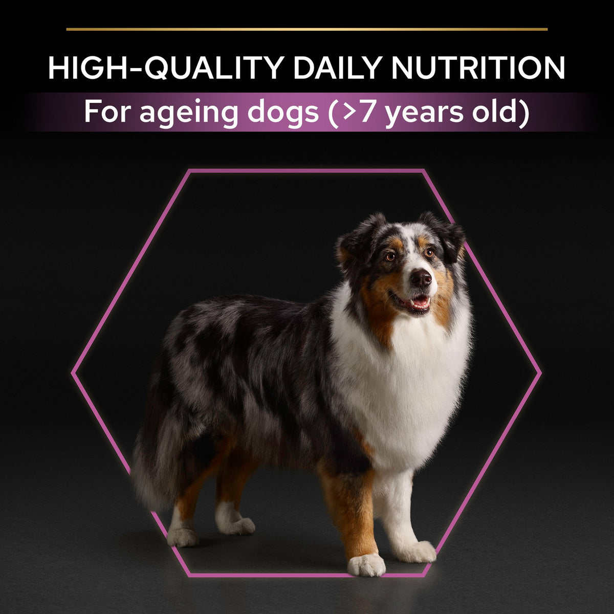 Purina Pro Plan Age Defence Medium and Large Senior 7+, Dry Dog food with Chicken, 3 kg